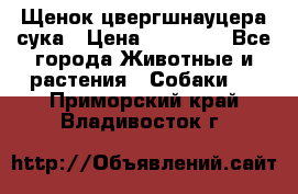 Щенок цвергшнауцера сука › Цена ­ 25 000 - Все города Животные и растения » Собаки   . Приморский край,Владивосток г.